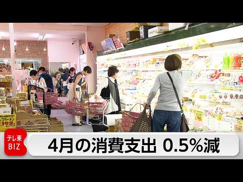 4月消費支出0.5％減少 5カ月連続マイナス 中東情勢受け買いだめも thumbnail