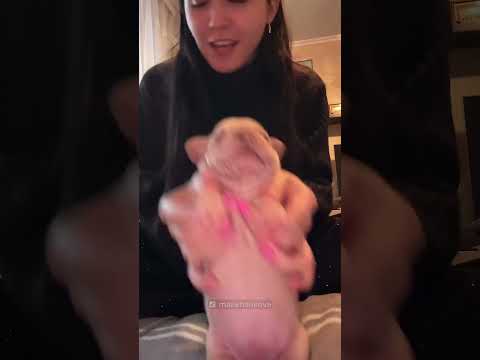 This is THE Party Puppy 🕺 thumbnail