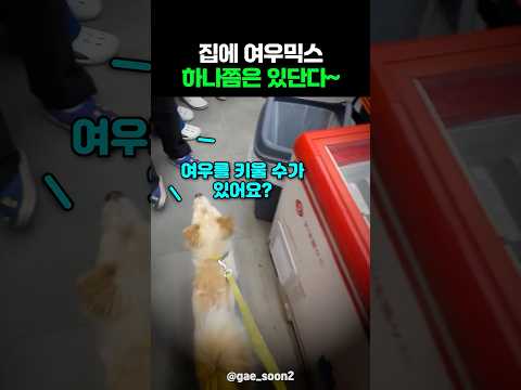 집에 여우믹스 하나쯤은 있단다~ thumbnail
