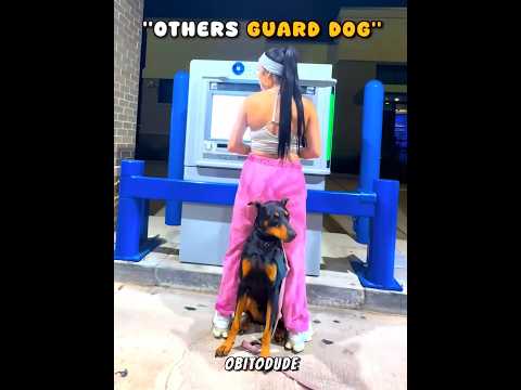 Last Kid Got A Light-Speed Dog ? thumbnail