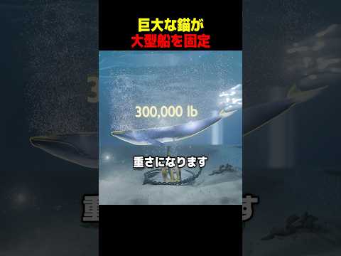 巨大な錨が大型船を固定 thumbnail