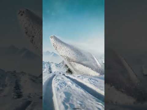 Mountain Whale thumbnail