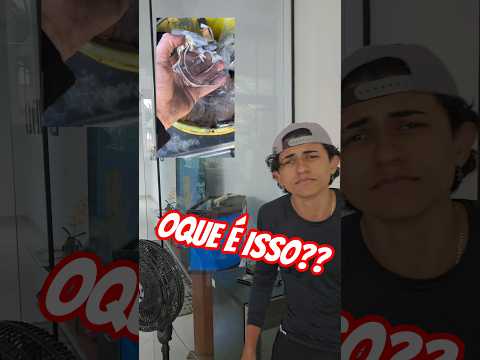 QUE OBJETO É ESSE???#shorts thumbnail