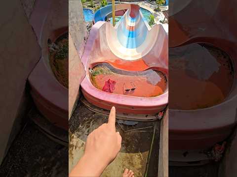 kenapa bando sama kaca mata bawang merah ada di seluncuran #trendingshorts thumbnail