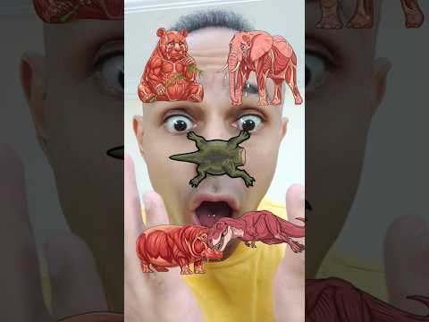تحدي تلوين الحيوانات | Animal color !! 😱 #shorts #animals #explore #challenge thumbnail