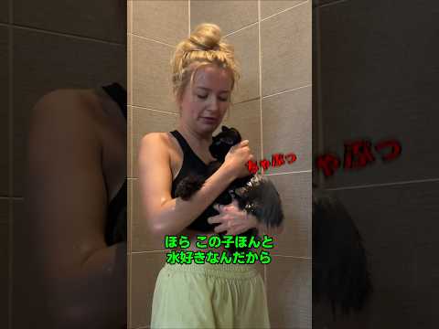 全飼い主が羨む「水属性」の猫ちゃんがこちら thumbnail