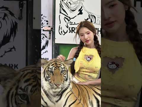 เพลงนี้เท่านั้นในหัว thumbnail