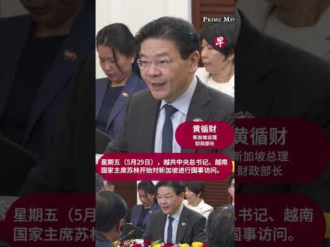 越南国家主席苏林访新：首届“新越战略对话”8月将在新加坡举行 #singapore #vietnam #新加坡 #越南 thumbnail