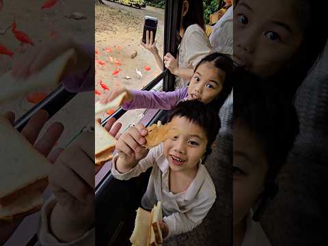ให้อาหารนกแบบสุดฟิน thumbnail