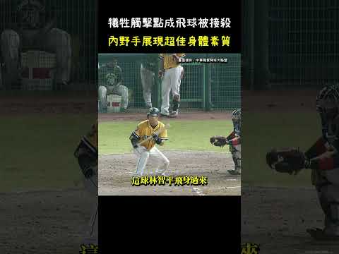 林智平這身體素質太好了 CPBL Infielder Amazing Catch #CPBL #中華職棒 #Baseball #林智平 #陳家駒 thumbnail