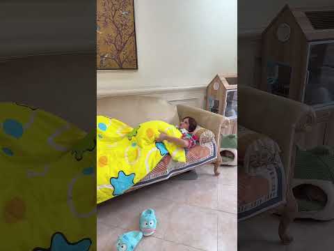 My house is so lively! #exlittlebeans #funnyvideo #funnycats thumbnail