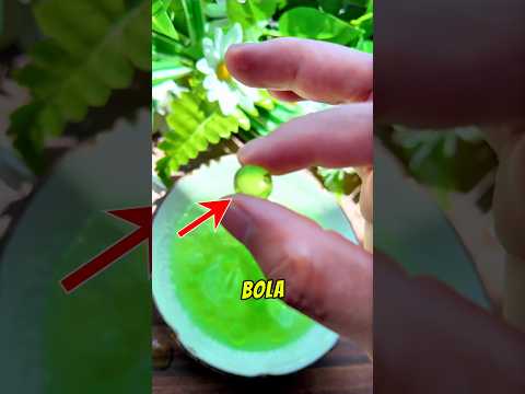 Jelly Candy yang Meleleh di Lidah thumbnail