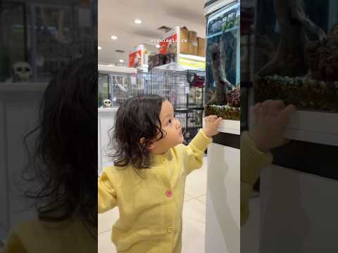UDAH SAMPAI KITA KE AKUARIUM! 🪼 #piuwfamily #funny #skit #familyvlog #familychannel #familyvideo thumbnail