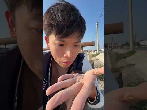 Đã ai đã rơi ví bao giờ chưa thumbnail