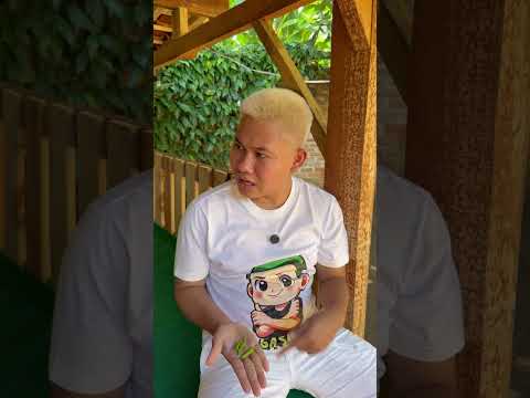 Kalian kalo lagi main sama temen suka gini juga ga, nyolong cabe buat metis #shorts #lucu #kocak thumbnail