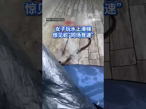 印尼一座水上乐园近日发生惊险一幕，一名女子在玩水上滑梯时，竟发现一条蛇与自己“同场竞速”，吓得她尖叫连连。视频在网上疯传后引发热议。#8视界新闻网 #indonesia #snake thumbnail