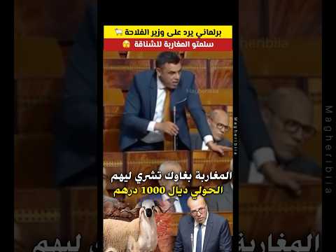 برلماني لـ وزير الفلاحة: سلمتو المغاربة للشناقة واللحم غايولي بـ 200dh #عيد_الأضحى #مغاربة_العالم thumbnail