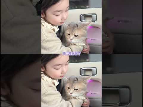 我只知道，你比我的需求更重要 （cr.@耿耿 ）#暖心 #小猫 #毛孩子 #爱 #治愈 thumbnail