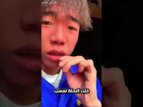 اكثر لقطة مضحكة...!#shorts #shortvideo #shortsfeed #اسلاميات thumbnail