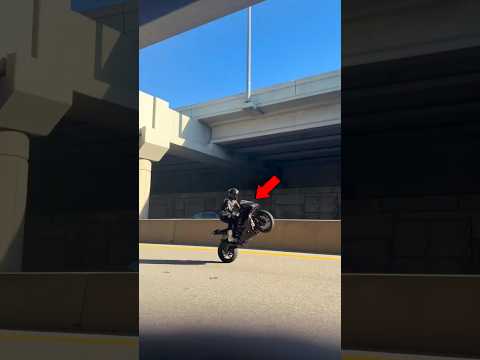 Der längste Motorrad Wheelie der Geschichte ? #shorts thumbnail