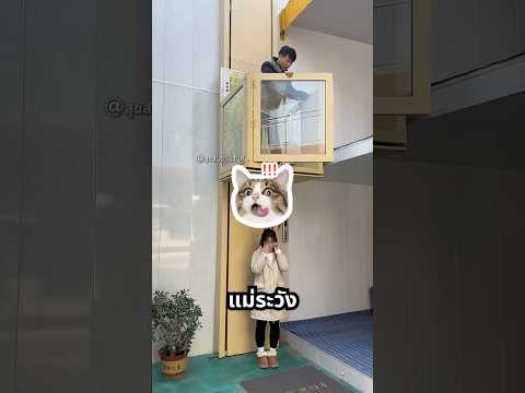 แม่ อย่าอยู่ใต้ลิฟท์ thumbnail