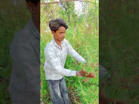 #Comedy#📌short#video#viral# thumbnail