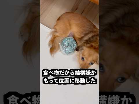 チョコミントカラースプレーに覆われたチョコの中がやばすぎた！ thumbnail