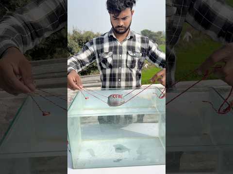 Ram Setu Stone Test #shorts #outofmindexperiment thumbnail