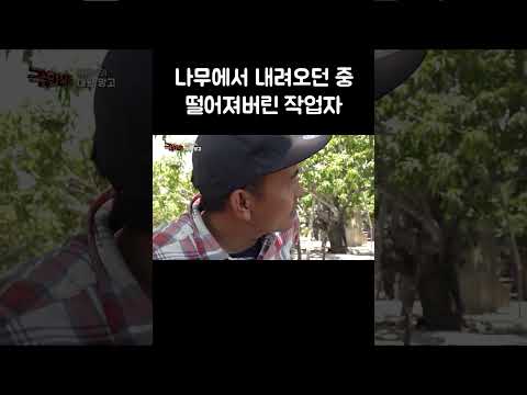 나무에서 내려오던 중 떨어져버린 작업자 #shorts thumbnail