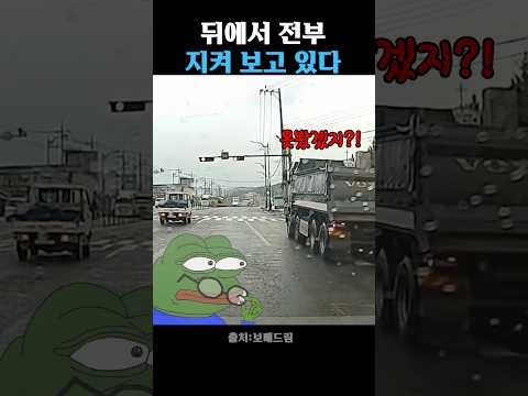 다 지켜보고 있다! thumbnail