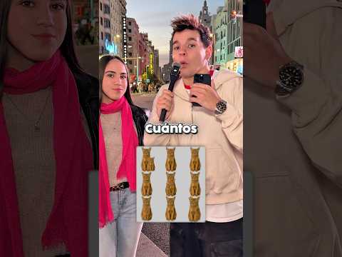 Cuántos gatos hay en esta imagen?🤔🐱 thumbnail