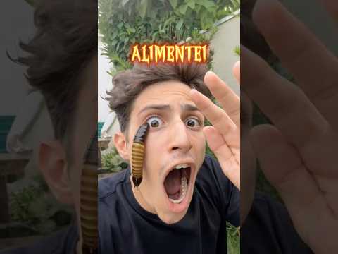Qual planta carnívora vai comer o tenebrio?!😱 #shorts thumbnail