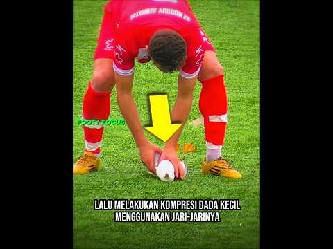 Menyelamatkan Burung Camar Dengan CPR ♥️ thumbnail