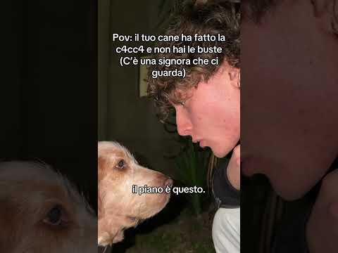 hai un cane e ti sei dimenticato le bustine  #perte #neiperte #divertente #cane #seltsam thumbnail