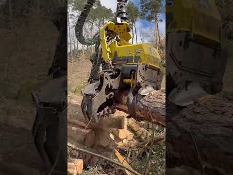 🔥Harvester 1270G Unleashed: Extreme Power in Wood Processing #forest #johndeere #harvester #wood thumbnail