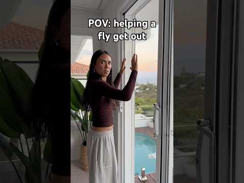 WAIT FOR IT 🤣😭 thumbnail