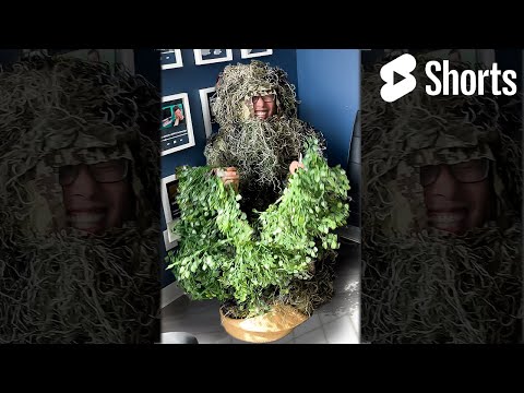 Sneaking into a YouTube Video (as a tree) thumbnail