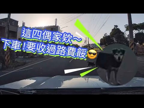 就是這麼突然被收過路費 thumbnail