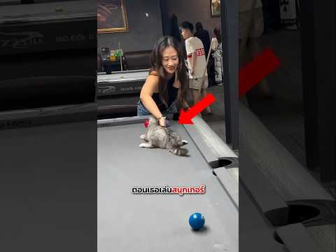 ผู้ช่วยลับบนโต๊ะสนุกเกอร์ 😼🎱 thumbnail