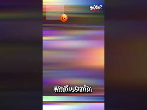 FIX ทีมปลากัด| BOXER BOYS thumbnail