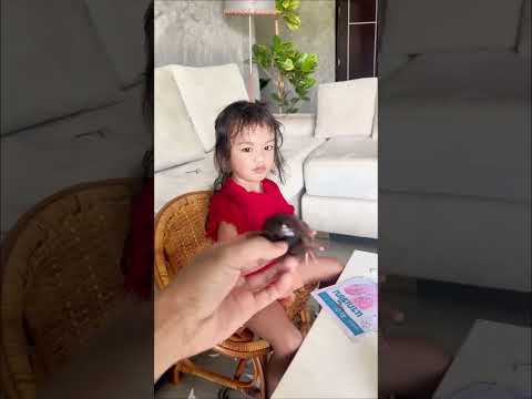ลินิน แอบตัดผมตัวเองทุกคน #funny #บักฮาโอ๊ต thumbnail