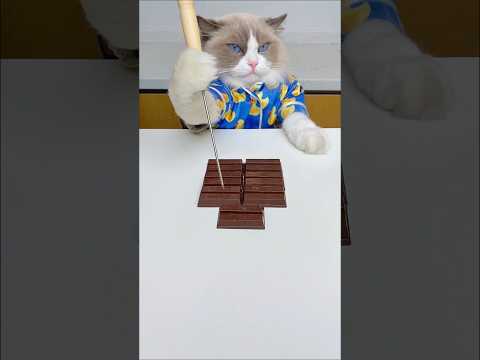 How to make???🤯the INFINITE CHOCOLATE LOOP | Chocolate Trick#challenge #tricks #thatlittlepuff thumbnail