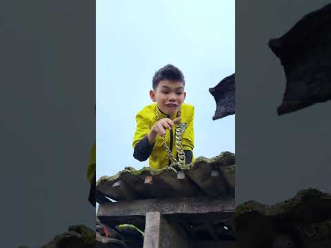 Intro hài vs da bò hun khói? p6 #shorts #tiktok #foryou #fyp #xuhuong #langlieu thumbnail