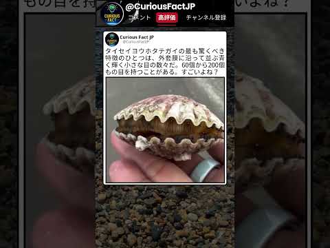 青く光ってる部分、模様じゃなかったの!? thumbnail