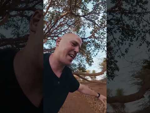 Siendo un Niño por unos Momentos en África #africa thumbnail