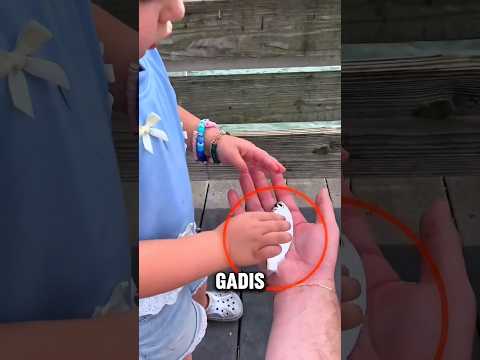 Nyawa Ikan ini Terselamatkan Dari Burung Bangau Berkat Keberanian Gadis Kecil ini! thumbnail