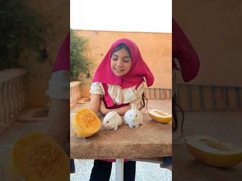 ماشا تطعم الجبس للأرنب 😱 وصدمة !! thumbnail