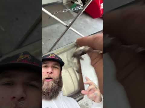 Fixing a rusty bumper #jeeplife #offroad #jeepwrangler #4x4 #cars #car #ford #offroading #shorts thumbnail