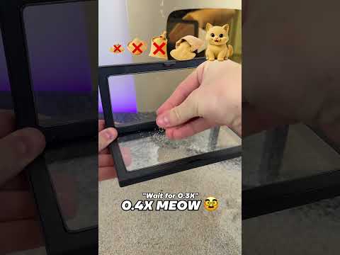Will I find something that fits?🤔 thumbnail