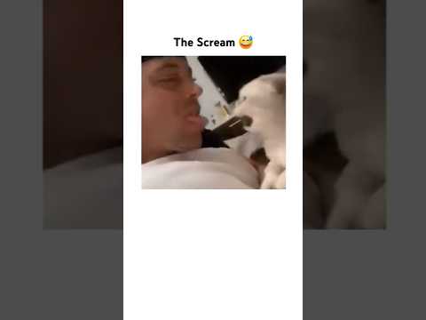 Cat said : Hell Nahh thumbnail
